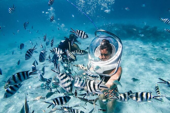 Undersea walk & Parasailing